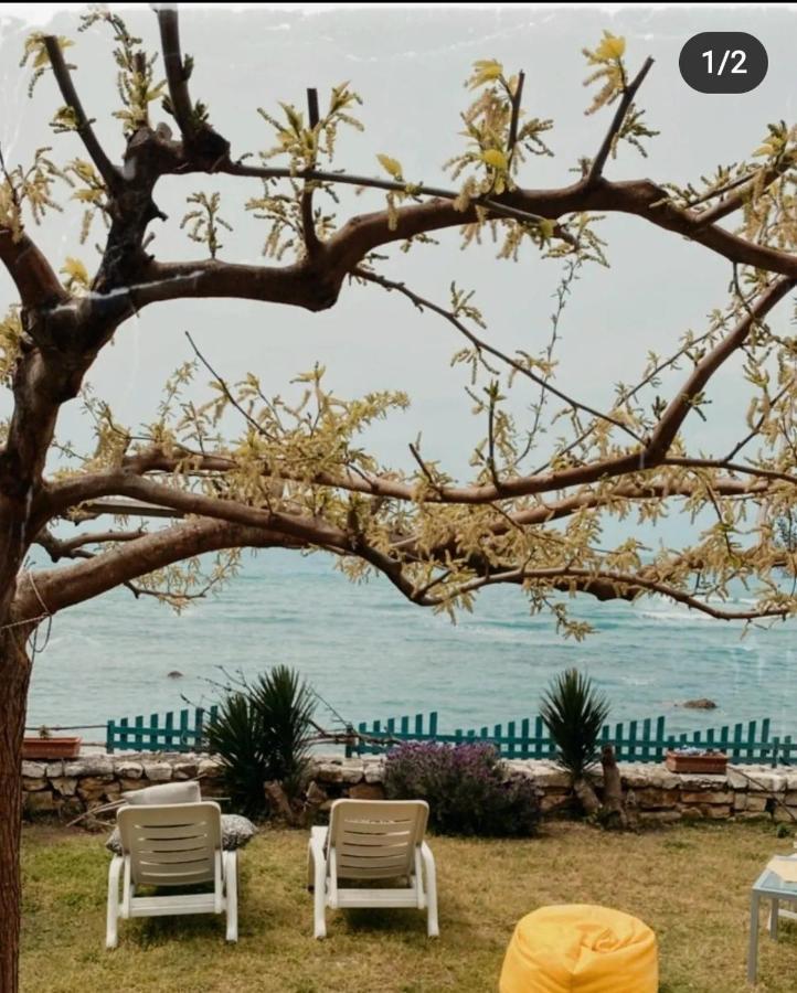 Kallmi View Eco